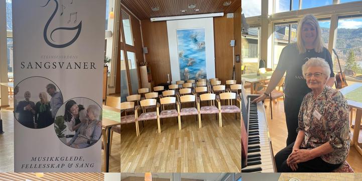 Bilde/illustrasjon for Demenskor Steinsfjorden Sangsvaner Demenskor Steinsfjorden Sangsvaner