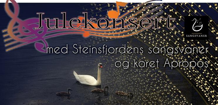 Bilde/illustrasjon for Julekonsert demenskoret Steinsfjordens Sangsvaner og koret Apropos Julekonsert demenskoret Steinsfjordens Sangsvaner og koret Apropos